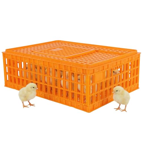 6pcs Chicken Carrier Chicken Transport Cage Crate with Sliding Door 29.5x21.6x10.6inch Chick Boxes for Transport Bird Travel Carrier for Poultry Bird Duck Goose (Carton Delivery)