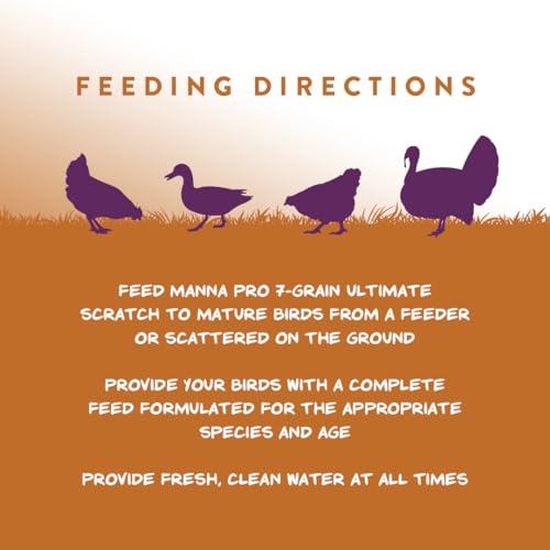Manna Pro 7-Grain Ultimate Chicken Scratch Treat, Non-GMO, 10 lb Bag | 7-Grain Scratch Treat Blend, Non-GMO Ingredients, Natural Multigrain Recipe, For Chickens, Hens & Backyard Flocks
