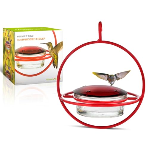 Hummingbird Feeder for Outdoors Hanging, 3.4 OZ Hummingbird Feeders, Glass Bowl with 4 Feeding Ports, Leak Proof Lid & Circular Perch, Bird Feeder (1, Red) - color: Red