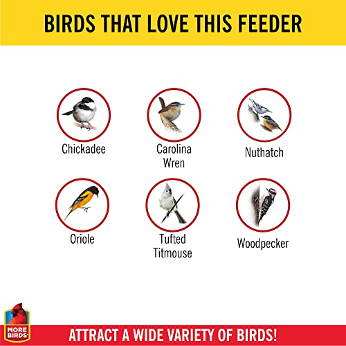More Birds Suet Cage Bird Feeder, Fruit and Suet Feeder, Single Cake Capacity,Black (Pack of 6) - color: Black, size: Single Cake (Pack of 6), style: Suet Cage