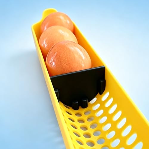 PIAOLGYI Egg Divider Inserts for Maticoopx Incubator,Holder for Vertical Egg Positioning and Stability(10 Pack) (Black) - color: Black