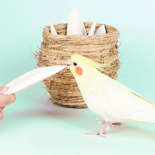 Natural Cuttlebone for Birds Parakeets Canaries Cockatiels Small Conures Mynahs Toucans African Greys All Parrots Snails Totoise (7-7.5 inch,6PCS) - size: 7-7.5 inch,6PCS