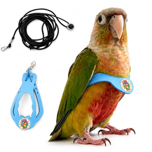 Bird Harness and 3M Elastic Flight Leash, Adjustable Parrot Harness for Budgies, Parakeets, Lovebirds, Cockatiels, Conures, Quaker Parrots, Pigeons(Blue, L) 6350-26 - color: Light Blue, size: L,for Quaker Parrotand similar size birds