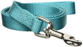 Zack & Zoey Basic Nylon Dog Leash, 4-Feet x 5/8-Inch Lead, Bluebird - color: Bluebird, size: 4-Feet x 5/8-Inch Lead