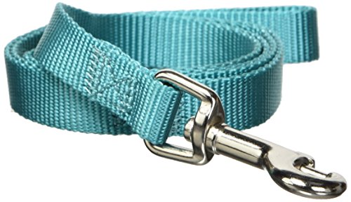 Zack & Zoey Basic Nylon Dog Leash, 4-Feet x 5/8-Inch Lead, Bluebird - color: Bluebird, size: 4-Feet x 5/8-Inch Lead