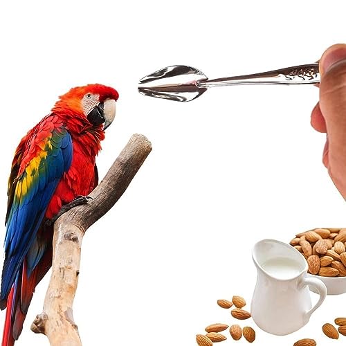 6 Pcs Stainless Steel Bird Feeding Spoon - Narrow Tip for Baby Birds Young Pet Birds, Parrot Milk Spoon Fit Finch Canary Cockatiel Hand Feeding,Spoons for Feeding Nestlings/Hatchlings