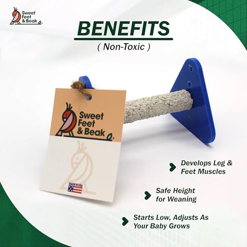 Sweet Feet and Beak Baby Weaning Stand, X-Small Training Bird Perch | 3 Adjustable Heights, Training & Play Stand, Easy to Clean, Handmade in USA, For Baby Finches, Canaries & Small Budgies - size: Extra-Small