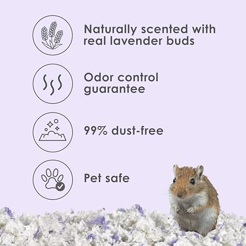 Kaytee Clean & Cozy Lavender Paper Bedding for Guinea Pigs, 24.6 Liters | Fresher habitats with rabbit bedding. Hamster bedding for small pets. 99% dust-free, absorbs 6x, lavender bedding - size: 24.6 Liters
