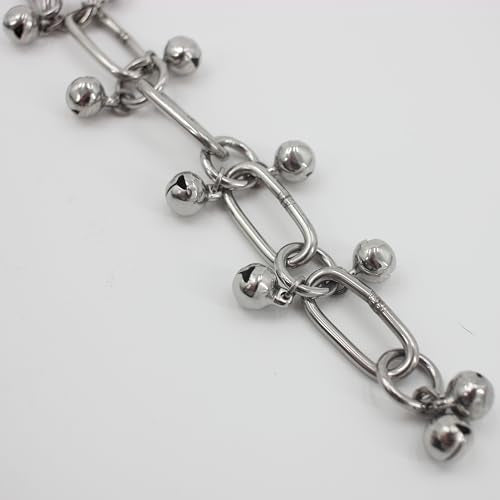 Fosrion Stainless Steel Parrot Chew Toy with Bell, 10.6" Durable Metal Bird Toy for Macaws, Cockatiels, Budgies - Cage Hanging Chew Chain (Ladder Chain with Double Bells) - color: Ladder Chain with Double Bells
