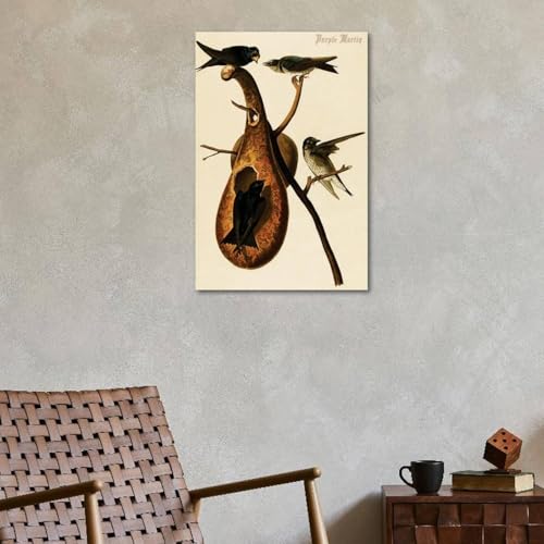 ART.COM Wall Art Print Purple Martin by John James Audubon, 24" x 36" - color: Print Only, size: 36L" x 24W", style: Unframed