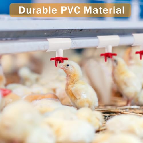 40 Pieces Chicken Waterer PVC Tee Fittings, Automatic Poultry Waterers PVC Fittings for 1/8" FTP Threads, Chicken Water Drinker and Feeder Cups for Poultry Nipples Chicken - size: 40