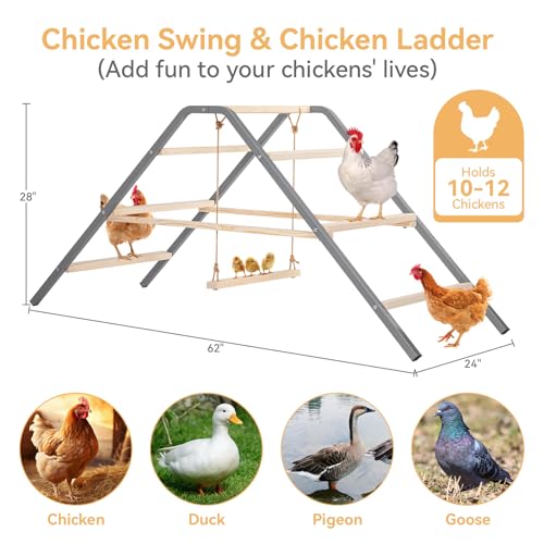 PETSFIT Chicken Perch, Solid Wood & Rustproof Iron Roosting Bar with Swing | Fits 10-12 Chickens, Promotes Natural Exercise, Easy to Assemble and Clean, Backyard Coops and Farms, All-Weather Outdoor Use - size: 62"Lx24"Wx28"H