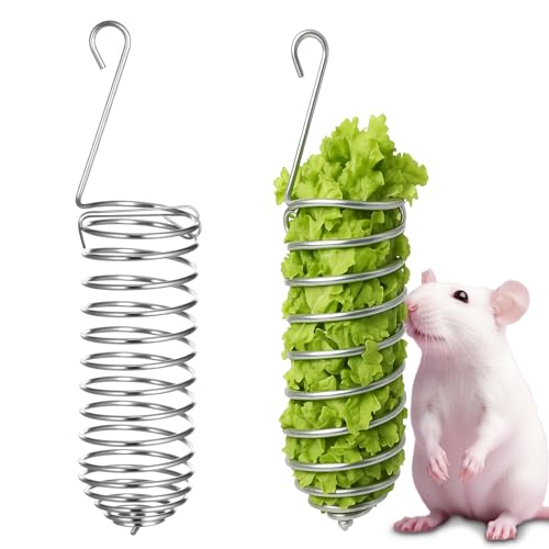 2Pcs Rat Enrichment Toys Bird Food Holder Rat Parrot Foraging Toy | Stainless Steel, Hanging Rodent Toy, Fruit Vegetable Holder, Puzzle Toy, Slow Feeder, Parakeet Foraging