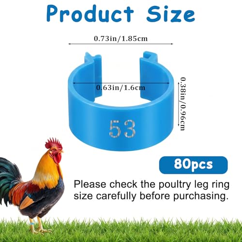 80 PCS Poultry Tags 16mm Plastic Chicken Leg Bands Color-Coded Leg Bands Duck Poultry Foot Tags for Chickens Ducks Goose Turkey Birds(Multicolor)