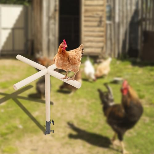 Chicken Perch Toy for Coop, Wooden Chick Perch Stand with Metal Ground Plug, Chicken Coop Backyard Poultry Accessories, Suitable for Poultry Rooster Chicks Large Bird Parrot - size: 23 × 23 Inch