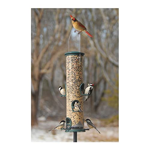 Aspects Quick-Clean Spruce Big Tube Feeder, 3.5qt Capacity - Large UV-Stabilized Feeder with 6 Feeding Stations for Backyard Birds
