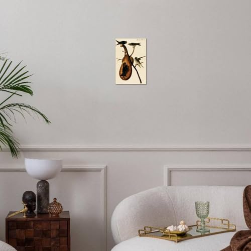 ART.COM Wall Art Print Purple Martin by John James Audubon, 12" x 18" - color: Print Only, size: 18"L x 12"W, style: Unframed