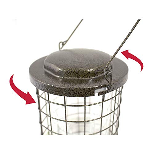 Perky-Pet 114 Squirrel Stumper Wild Bird Feeder