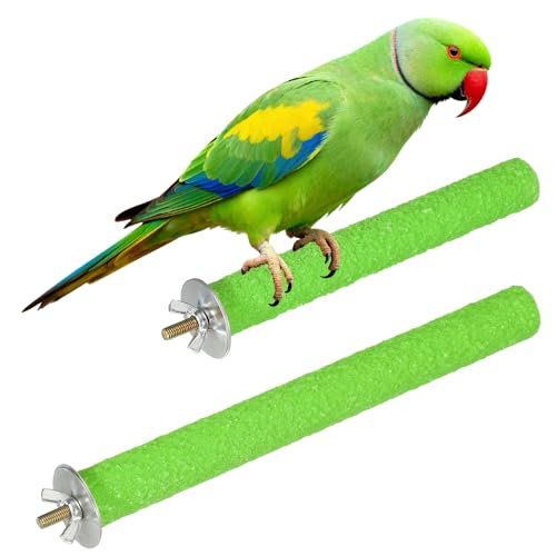 Bird Cage Perch, Colorful Parrot Grinding Claw Sticks, Platform Paw Stand Toy 6/8 Inch, (Wooden, Green, 2Pcs), Intended for Small Medium Birds/Parrots/Finches/Lovebird - color: Green, size: 6/8 Inch
