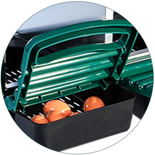 Chicken Nesting Boxes,10 Compartment Metal Roll Away Nest Box for Chicken Coop,Chickens Laying Egg, Lid Cover to Protect Eggs,Easy Egg Collection,Cleanable Pull Out Hen Roosting Boxes - color: green, size: 10 holes