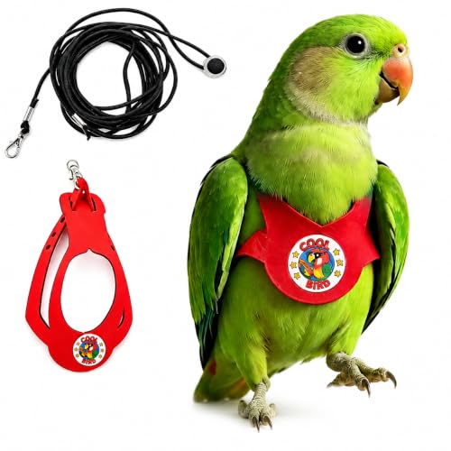 Adjustable Bird Harness & Leash Set for Small Birds,FitsBudgie,Parakeets, Conures, Cockatiels,Green Cheek,Quaker Parrots(Red, L) 6350-4 - color: Red, size: L,for Quaker Parrotand similar size birds