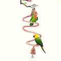 SunGrow Rope Perch for Parrots, 59” Long, Bungee Bird Toy, Brightly Colored Handmade Chew Toy, Spiral Design with Jingling Bell