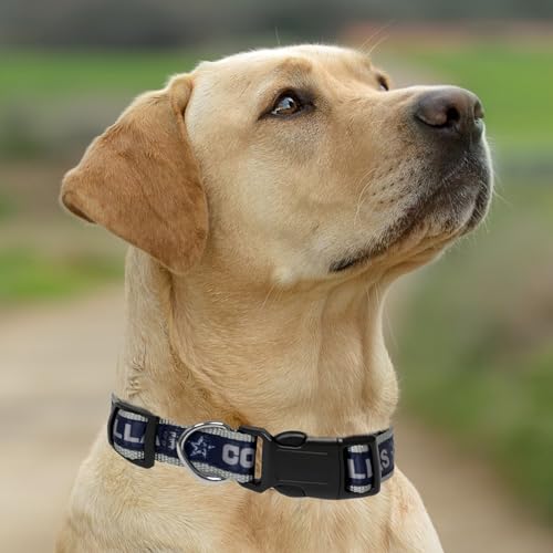 Pets First NFL Dallas Cowboys Licensed PET COLLAR, Small - Heavy-Duty, Strong, and Durable Dog Collar. Available in 31 Football Teams and 4 Sizes - color: Dallas Cowboys, size: Small