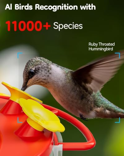 Solar Hummingbird Feeder with Camera for Outdoors, 2K Smart AI | 2K live video smart bird camera, AI species identification, Ant & bee proof, 3 feeding ports, Ideal gift for bird lovers