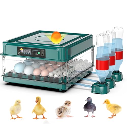 Intelligent Poultry Incubator - 38 Eggs, Automatic Turner & Temperature Control for Hatching Chicken, Quail, Bird & Duck Eggs - style: 38 EGGS