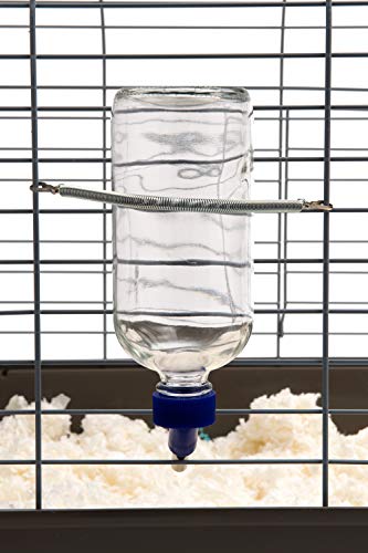 Lixit Glass Water Bottles for Rabbits, Ferrets, Small Birds, Guinea Pigs, Rats, Hamsters and Other Pets (16oz Pack of 2)