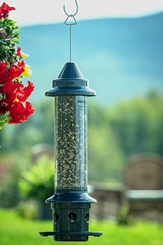 Squirrel Buster Plus Squirrel-proof Bird Feeder w/Cardinal Ring and 6 Feeding Ports, 5.1-pound Seed Capacity, Adjustable, Pole-mountable (POLE ADAPTOR SOLD SEPARATELY), Green | Cardinal ring, six ports, weight adjustment, pole-mountable, adapter sold sepa