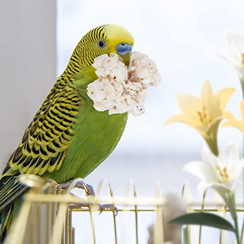 andwe Bird Toy Sola Ball Chew Shredding Toy, Pack of 6 | Fun & Easy to Shred, Natural Soft Foraging Ball For Cockatiel Conure Quaker Parrot Budgie Parakeet - size: Style 1 (Pack of 6)