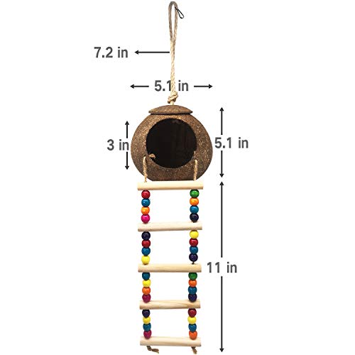 Hanging Coconut Birds House with Ladder, Natural Coconut Bird Nest | Coconut Hide Birds Swing Toys for Parrot Parakeet Lovebird Finch Canary for Hamster, Bird Cage Accessories, Pet Bird Supply