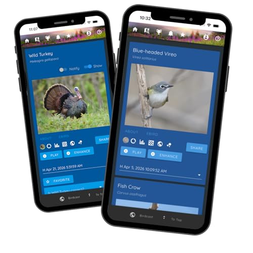 Bird Song & Call Identifier: 24/7 backyard sound identification | Better than a camera, uses sound to ID resident & migrating hummingbirds, warblers, hawks, owls, orioles, woodpeckers & more!