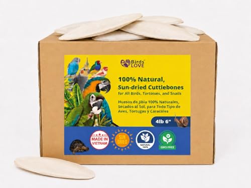 Birds LOVE 5.5-6″ Cuttlebones for Birds – 100% Natural Sun-Dried Calcium Carbonate Mineral Supplement – for Parakeets, Budgies, Cockatiels, Finches & Canaries – 4 lb with Holder – Made in Vietnam - size: 4 Pound (Pack of 1)
