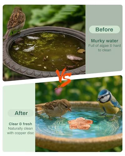 OICEME Bird Bath Purification Disc Pure Copper Outside Winter Solar Power Birdbath Disk Water Backyard Winter Solar Power Hummingbird Cleaner Pedestal Fountain Bowl Metal Warmer Railing Accessories - color: Copper Bauhinia
