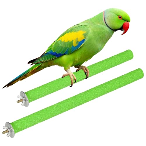 Bird Cage Perch, Colorful Parrot Grinding Claw Sticks, Platform Paw Stand Toy 10/12 Inch, (Wooden, Green, 2Pcs), Intended for Small Medium Birds/Parrots/Finches/Lovebird - color: Green, size: 10/12 Inch