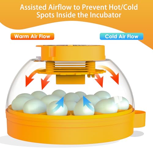 16 Duck Eggs Incubator with Phone App, Automatic Incubator with Custom Mode | Chicken Incubators for Hatching Eggs with Humidity, Temperature Control, Small Incubator with Egg Turner Tray for Beginner