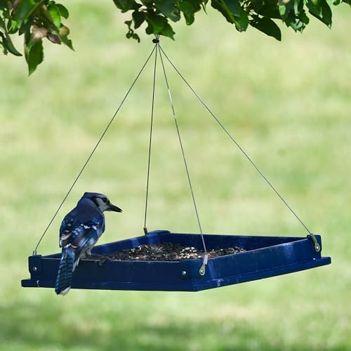 Large Recycled Plastic Platform Bird Feeder - Blue | 12.5-Inch Recycled Plastic Tray with Removable Perforated Steel Drain Plate - Cardinals, Finches, Blue Jays