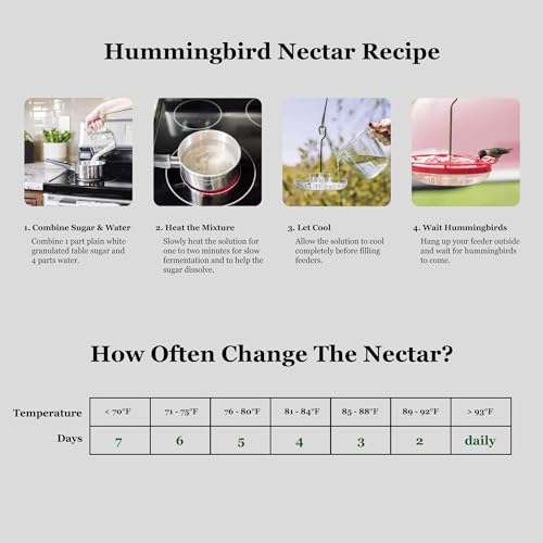 Hummingbird Feeders for Outdoors Hanging (2 Pack), 25 Feeding Ports 10 oz Plastic Hummingbird Feeder, Bee-Proof Leak-Proof No Drip, Easy to Clean with Cleaning Brushes - size: 10 oz
