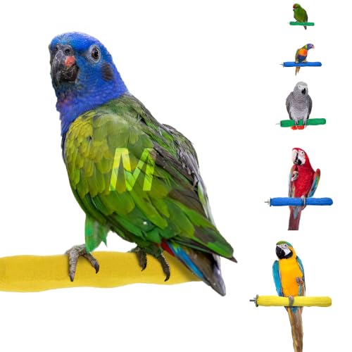 Sweet Feet and Beak Comfort Grip Safety Bird Perch, Medium Pedicure Perch | Made from Bird-Safe Concrete Blend, Promotes Feet, Nails and Muscle Stimulation, 8.5" Perch, Available in 5 Sizes, Yellow - color: Yellow, size: Medium 8.5"