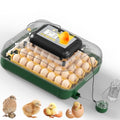 30 Egg Incubator for Hatching Eggs with Auto Egg Turning, High Precision Temperature & Humidity Display, Hatch Day, Egg Candler, Upgraded Motor, Incubator for Hatching Chickens, Higher Hatch Rate