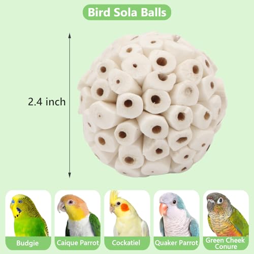Wontee Bird Toys Sola Balls 2.4" Parrot Foraging Toys Soft Sola Atta Ball Parrot Chew Shred Toy for Cockatiels Conures Parakeets Budgies Senegal (4)