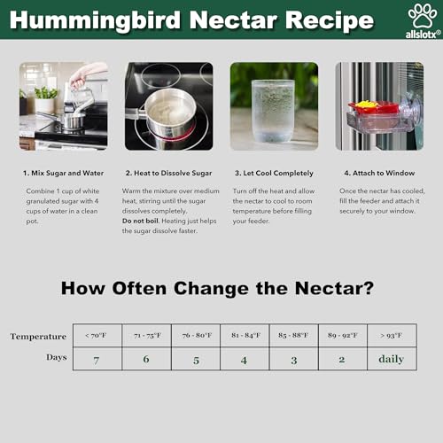 Window Hummingbird Feeder for Outdoors, 4 Bee-Proof Feeding Ports, Leak-Proof 10 oz Nectar Reservoir, Built-in Ant Moat, Strong Suction Cups for Up-Close Bird Watching, Easy to Clean - style: F061 (1-Pack)