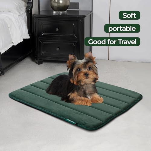 BALANCE Dog Crate Pad, Dog Foam Crate Mat Kennel Pad, Washable Water-Resistant Pet Bed Flat Dogs Cage Mat for Small Dogs - color: Green, size: 24.0"L x 18.0"W x 0.8"Th