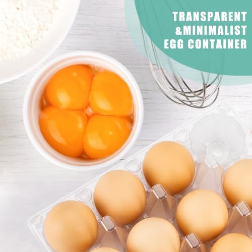 SINLUCESCE 100 Packs 12 Count Clear Plastic Egg Cartons, 3 * 4 Grids Design, Perfect for Family, Farm, Markets, Display(Large)