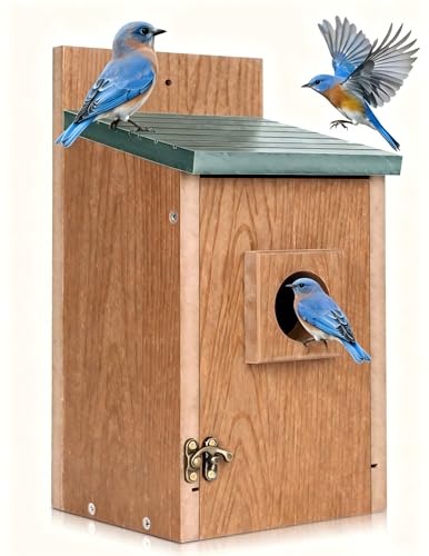 Gtongoko Recycled Plastic Bluebird Houses for Outside 1-1/2" Entrance Green | Predator Guard, Elevated Mesh Floor, Climbing Grooves, Clean-Out Door, Air Ventilation for Bluebirds, Swallows & Chickadees - color: Green & Brown-1 Pack
