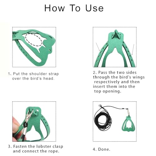 Adjustable Bird Harness & Leash Set for Small Birds,FitsBudgie,Parakeets, Conures, Cockatiels,Green Cheek,Quaker Parrots(Green, XL) 6350-13 - color: Green, size: XL,for Mourning Dove and similar size birds