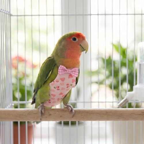 4 Pcs Bird Diaper Reusable Cute Parrot Diapers with Waterproof Inner for Cockatiel Budgie Canary Pet Bird