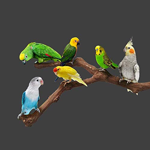 5 PCS Natural Grape Stick Perch Swing Chewing Toys for Parrot Cages, Cockatiels, Parakeets, Finches - Bird Standing Stick - color: 1